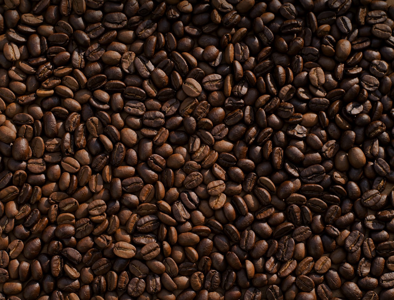 A close-up of freshly roasted coffee beans